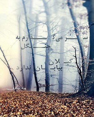 شعر اجتماعی